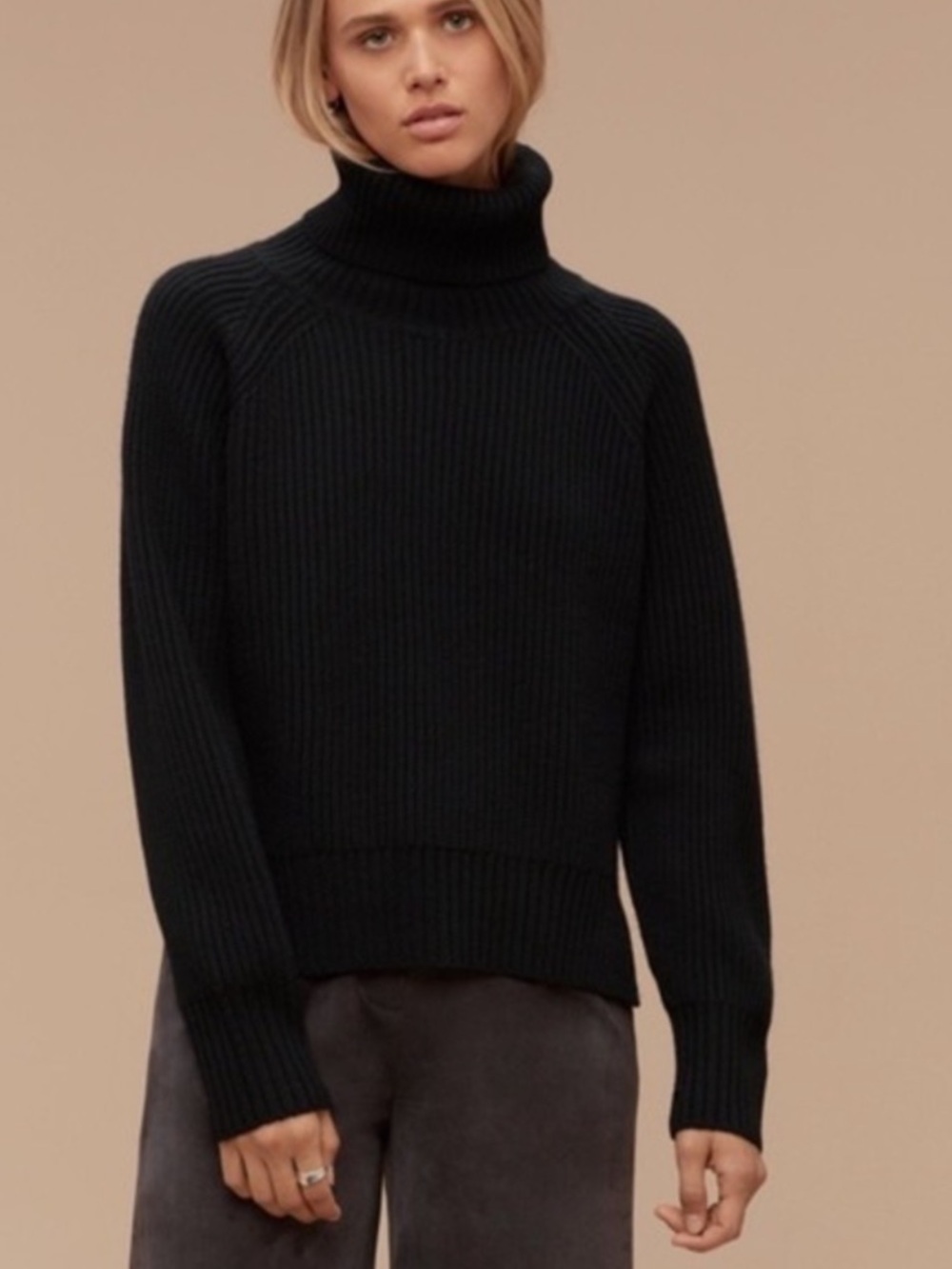 Wilfred Free Lin Ribbed Wool Turtleneck Sweater - Black